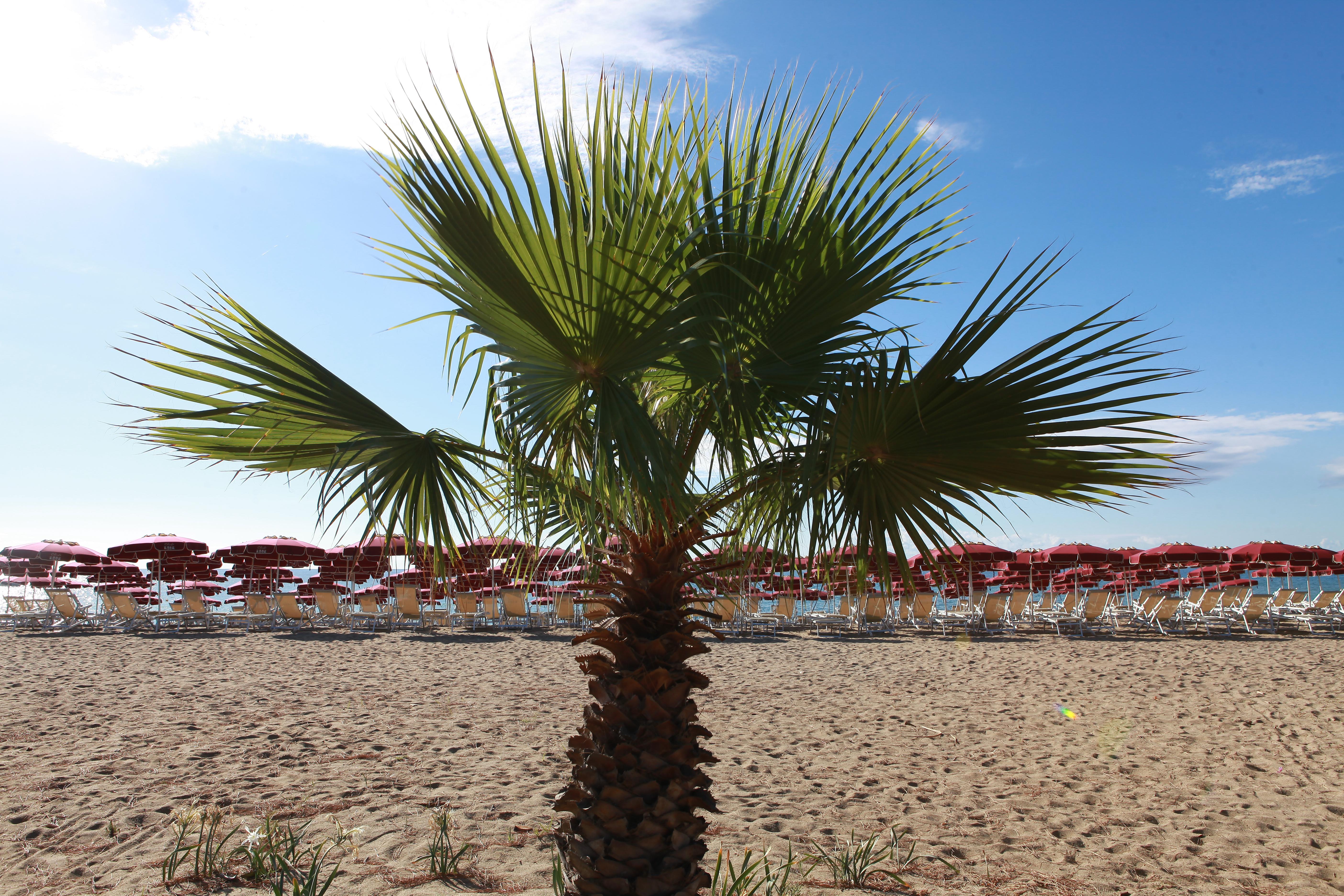 Hotel Club Esse Sunbeach Squillace Exterior foto